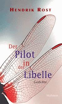Der Pilot in der Libelle - Hendrik Rost - E-Book