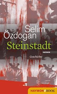 Steinstadt - Selim Özdogan - E-Book