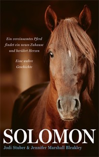 Solomon - Jodi Stuber - E-Book