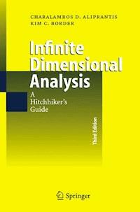 Infinite Dimensional Analysis - Charalambos D. Aliprantis - E-Book
