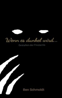 Wenn es dunkel wird ... - Ben Schmoldt - E-Book