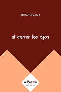 Al cerrar los ojos - Néstor Tellechea - E-Book