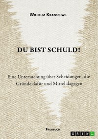 Du bist schuld! Eine Untersuchung über Scheidungen, die Gründe dafür und Mittel dagegen - Wilhelm Kratochwil - E-Book