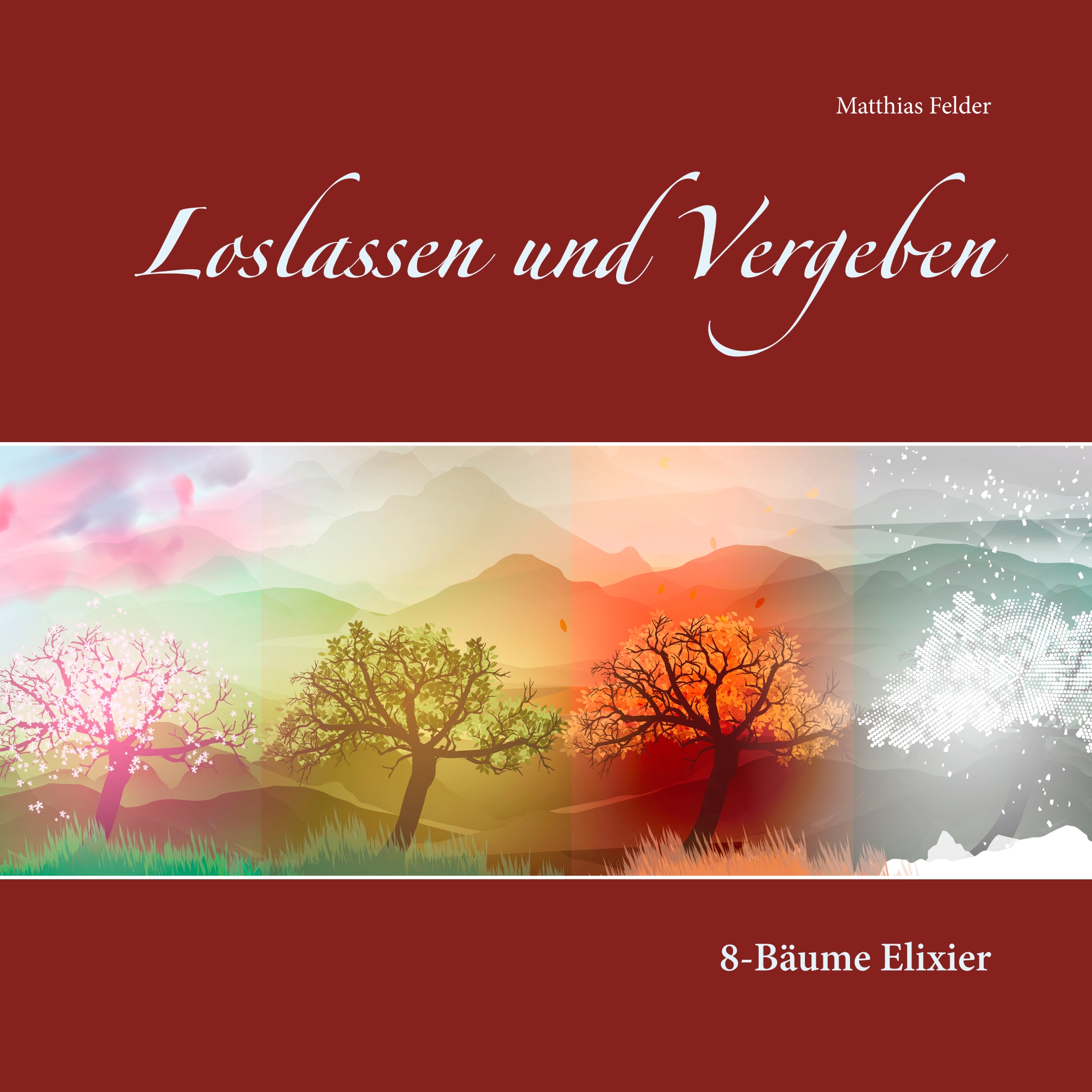 Loslassen und Vergeben - Matthias Felder - E-Book