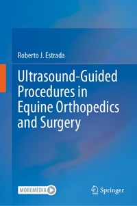 Ultrasound-Guided Procedures in Equine Orthopedics and Surgery - Roberto J. Estrada - E-Book