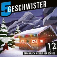 Adventskalender Tag 12 - Gefährlich rieselt der Schnee - Tobias Schuffenhauer - Hörbuch