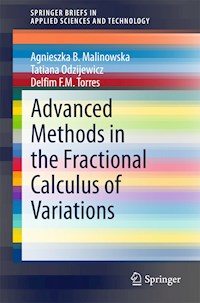 Advanced Methods in the Fractional Calculus of Variations - Agnieszka B. Malinowska - E-Book