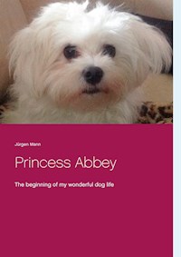 Princess Abbey - Jürgen Mann - E-Book