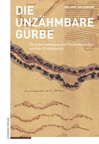 Die unzähmbare Gürbe - Melanie Salvisberg - E-Book