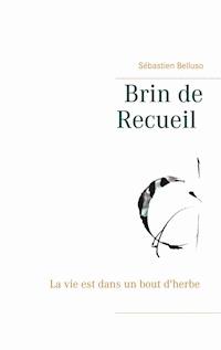 Brin de Recueil - Sébastien Belluso - E-Book