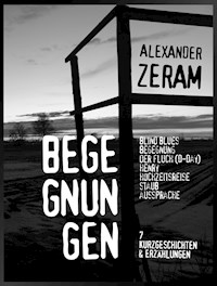 BEGEGNUNGEN - Alexander Zeram - E-Book