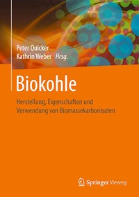 Biokohle -  - E-Book
