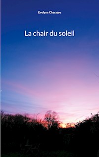 La chair du soleil - Evelyne Charasse - E-Book