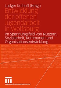 Entwicklung der offenen Jugendarbeit in Wolfsburg -  - E-Book