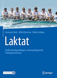 Laktat - Hermann Heck - E-Book