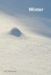 Winter - Andreas Hauerwaas - E-Book