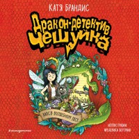 Хаос в Волшебном лесу - Катя Брандис - Hörbuch