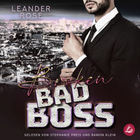 Broken Bad Boss - Leander Rose - Hörbuch