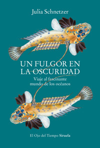 Un fulgor en la oscuridad - Julia Schnetzer - E-Book