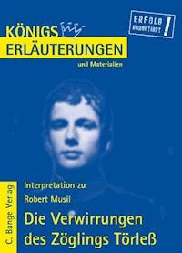 Die Verwirrungen des Zöglings Törleß von Robert Musil. Textanalyse und Interpretation. - Robert Musil - E-Book