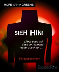 Sieh hin! (Aber pass auf, dass dir niemand dabei zuschaut ...) - Hope Vania Greene - kostenlos E-Book