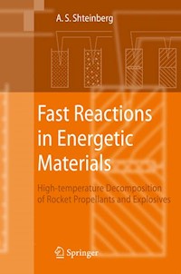 Fast Reactions in Energetic Materials - Alexander S. Shteinberg - E-Book
