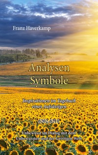 Analysen-Symbole 6202-10 - Franz Haferkamp - E-Book