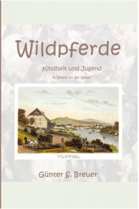 Wildpferde - Günter Breuer - E-Book