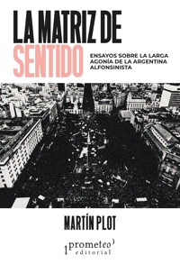 La matriz de sentido - Martín Plot - E-Book