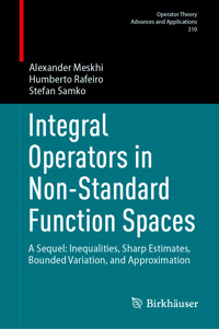 Integral Operators in Non-Standard Function Spaces - Alexander Meskhi - E-Book