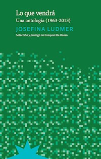 Lo que vendrá - Josefina Ludmer - E-Book
