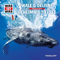 13: Wale & Delfine / Geheimnis Tiefsee - Dr. Manfred Baur - Hörbuch