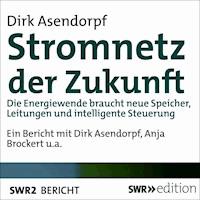 Stromnetz der Zukunft - Dirk Asendorpf - Hörbuch