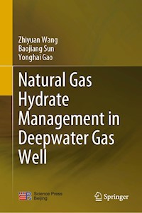 Natural Gas Hydrate Management in Deepwater Gas Well - Zhiyuan Wang - E-Book