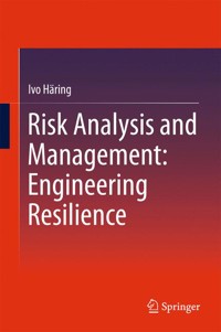 Risk Analysis and Management: Engineering Resilience - Ivo Häring - E-Book