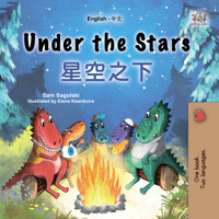 Under the Stars 星空之下 - Sam Sagolski - E-Book