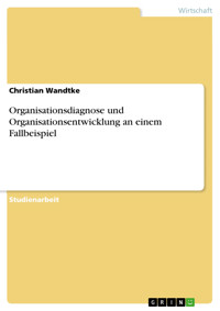 Organisationsdiagnose und Organisationsentwicklung an einem Fallbeispiel - Christian Wandtke - E-Book