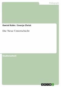 Die Neue Unterschicht - Daniel Rahn - E-Book