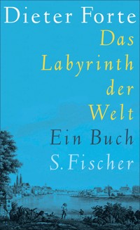 Das Labyrinth der Welt - Dieter Forte - E-Book