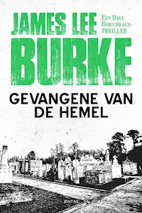Gevangene van de hemel - James Lee Burke - E-Book