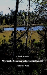 Mystische Schwarzwaldgeschichten III - Klaus F. Kandel - E-Book