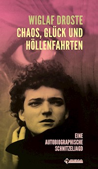 Chaos, Glück und Höllenfahrten - Wiglaf Droste - E-Book