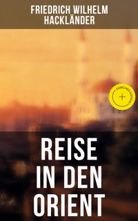 Reise in den Orient - Friedrich Wilhelm Hackländer - E-Book