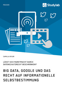 Big Data, Google und das Recht auf informationelle Selbstbestimmung - Camilla Efler - E-Book