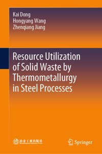 Resource Utilization of Solid Waste by Thermometallurgy in Steel Processes - Kai Dong - E-Book