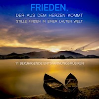 11 beruhigende Entspannungsmusiken: Stille finden in einer lauten Welt - Patrick Lynen - Hörbuch