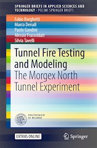 Tunnel Fire Testing and Modeling - Fabio Borghetti - E-Book