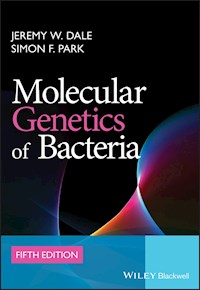 Molecular Genetics of Bacteria - Jeremy W. Dale - E-Book