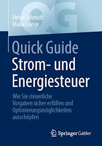 Quick Guide Strom- und Energiesteuer - Helge Schmidt - E-Book