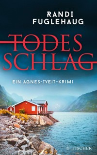 Todesschlag - Randi Fuglehaug - E-Book